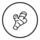 Kurkuma